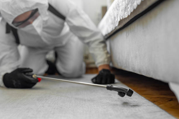 Professional Termite Control technician working in Helena Flats, MT