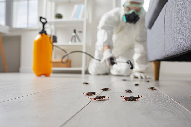 Trusted Fumigation Services service in Helena Flats, MT - Nex Pest Control