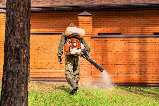 Trusted Mosquito Control service in Helena Flats, MT - Nex Pest Control